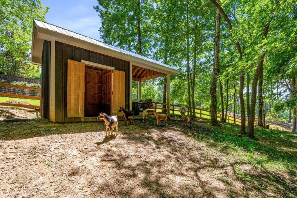 Luxury Mountain Mansion, 7br, 8 King Beds, 10000sf, Views, Pool, Sport Court, Gym, Sauna, Petting Zoo Holiday home *